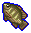 Tilapia