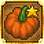 Citrouille d'or