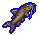 Catfish