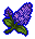 Night flower