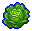 Cabbage