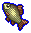 Carp